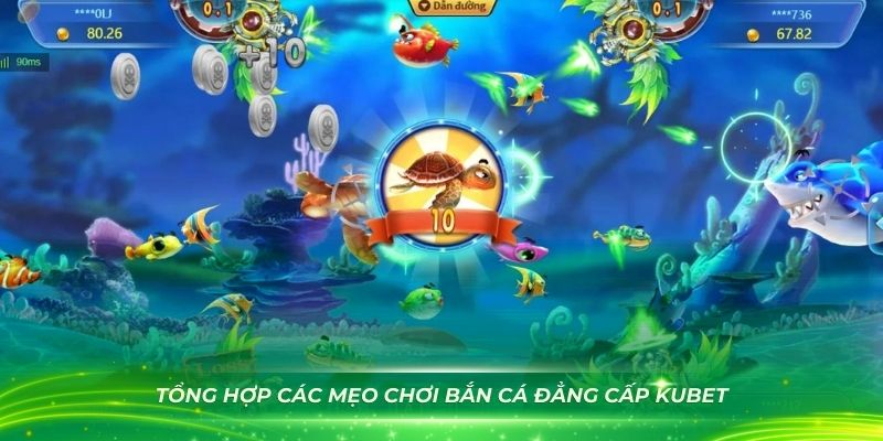 Tổng hợp các mẹo chơi bắn cá đẳng cấp Kubet